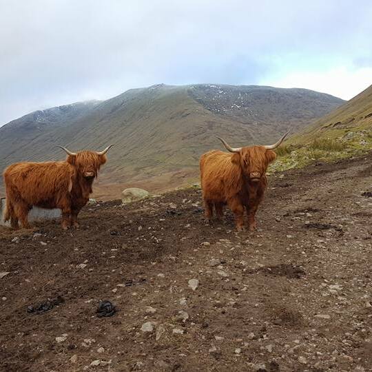 Our neighbours